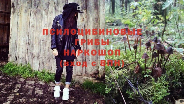 спиды Протвино