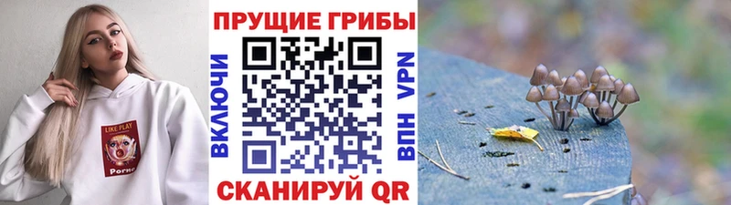 Купить закладки  Краснообск  Галлюциногенные грибы MAGIC MUSHROOMS 