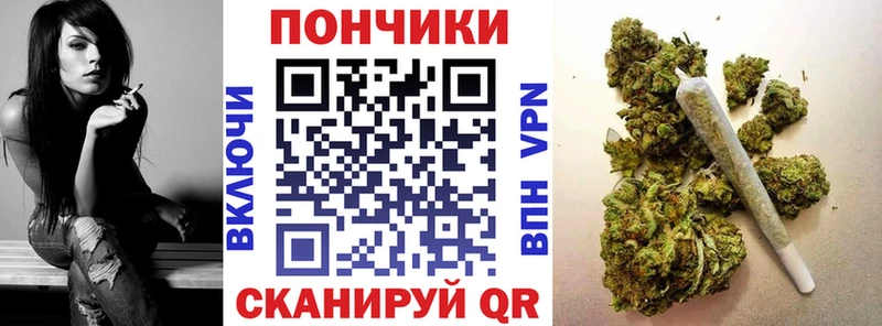 Купить закладки  Краснообск  Канабис SATIVA & INDICA 